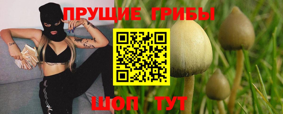 Псилоцибиновые грибы Magic Shrooms Мытищи