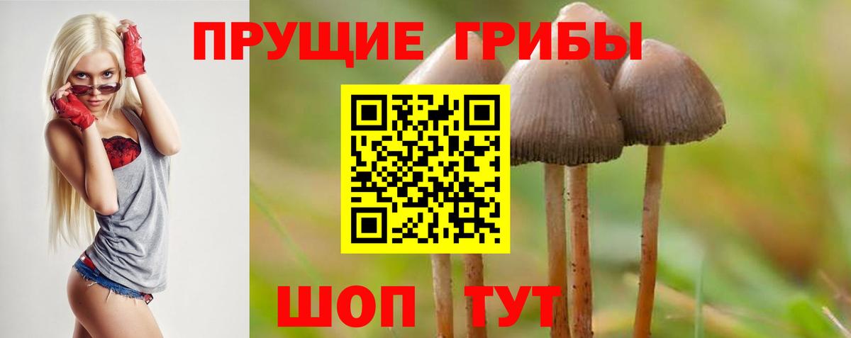 где можно купить наркотик  Вход с VPN  Мытищи  Галлюциногенные грибы прущие грибы  Псилоцибиновые грибы ЛСД 